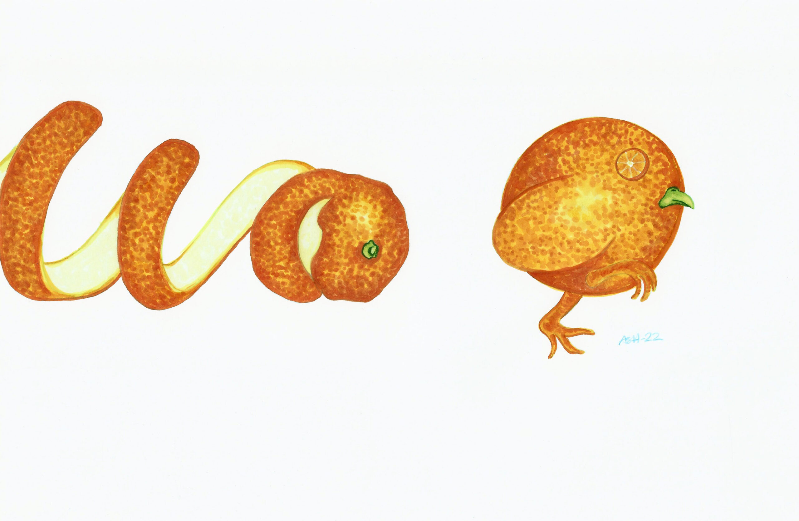 appelsin-kyllingjpg